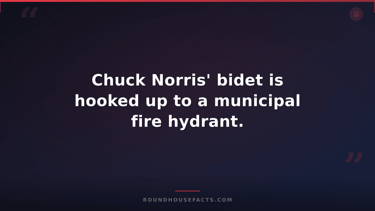 Chuck Norris Fact — Chuck Norris' bidet is hooked up to a municipal fire hydrant