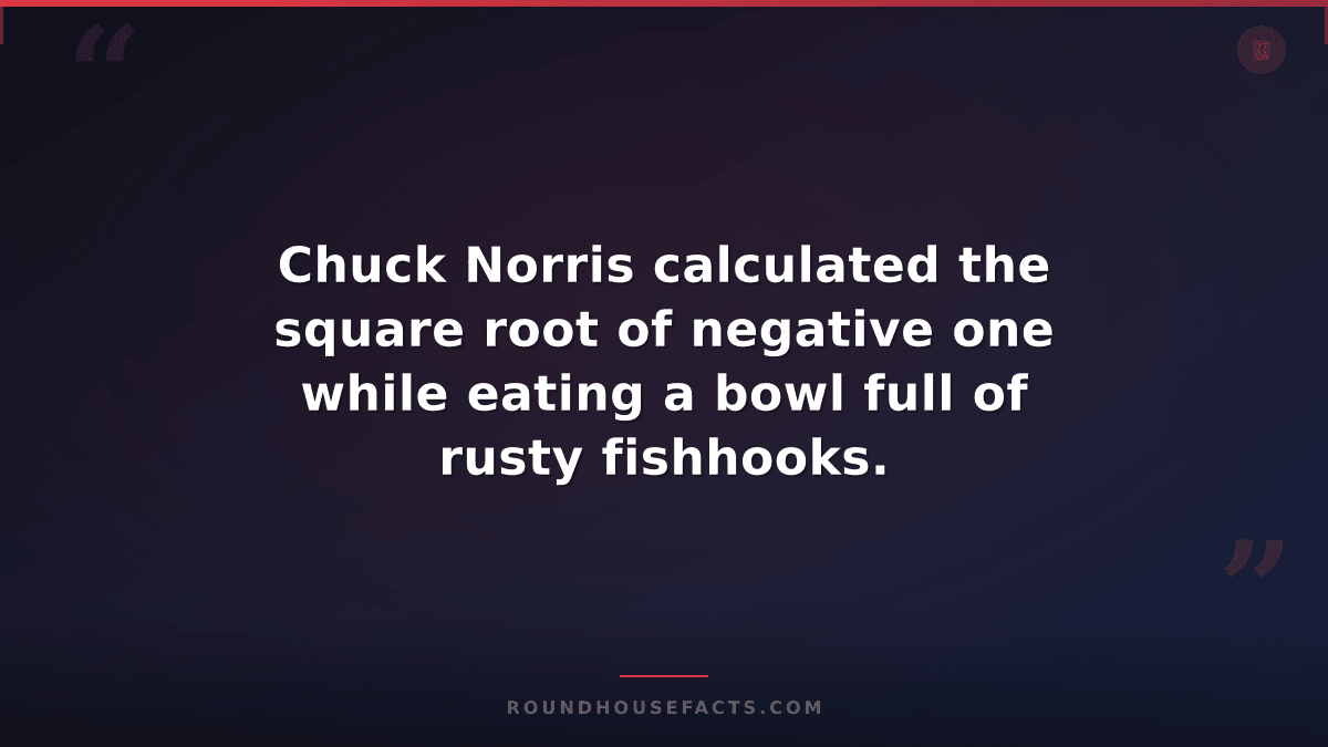 Chuck Norris Fact — Chuck Norris calculated the square root of negative one whil