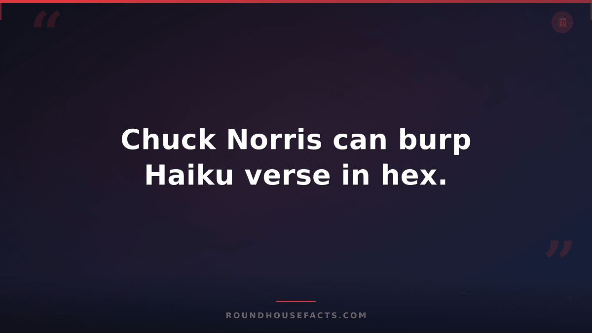 Chuck Norris Fact — Chuck Norris can burp Haiku verse in hex.
