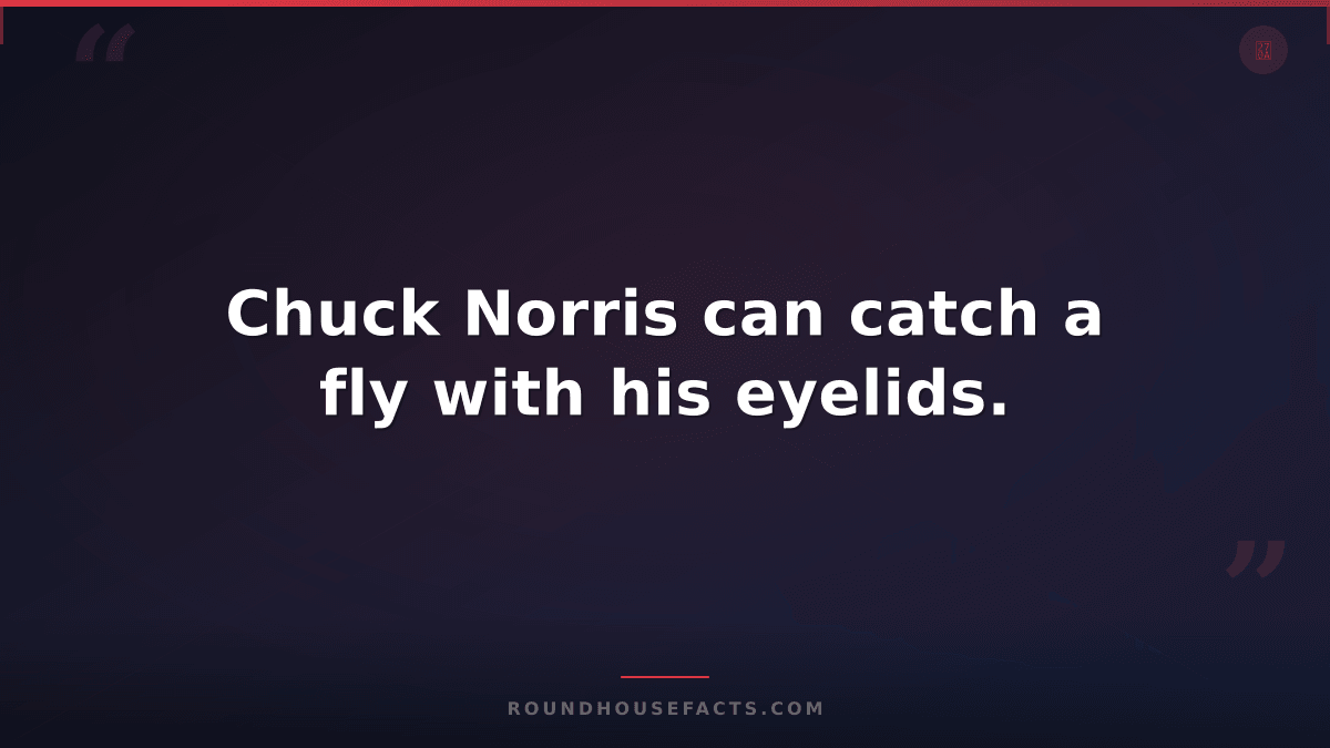 Chuck Norris Fact — Chuck Norris can catch a fly with his eyelids.