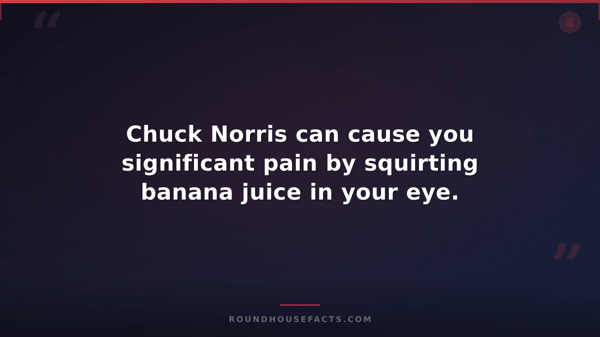 Chuck Norris Fact — Chuck Norris can cause you significant pain by squirting ban