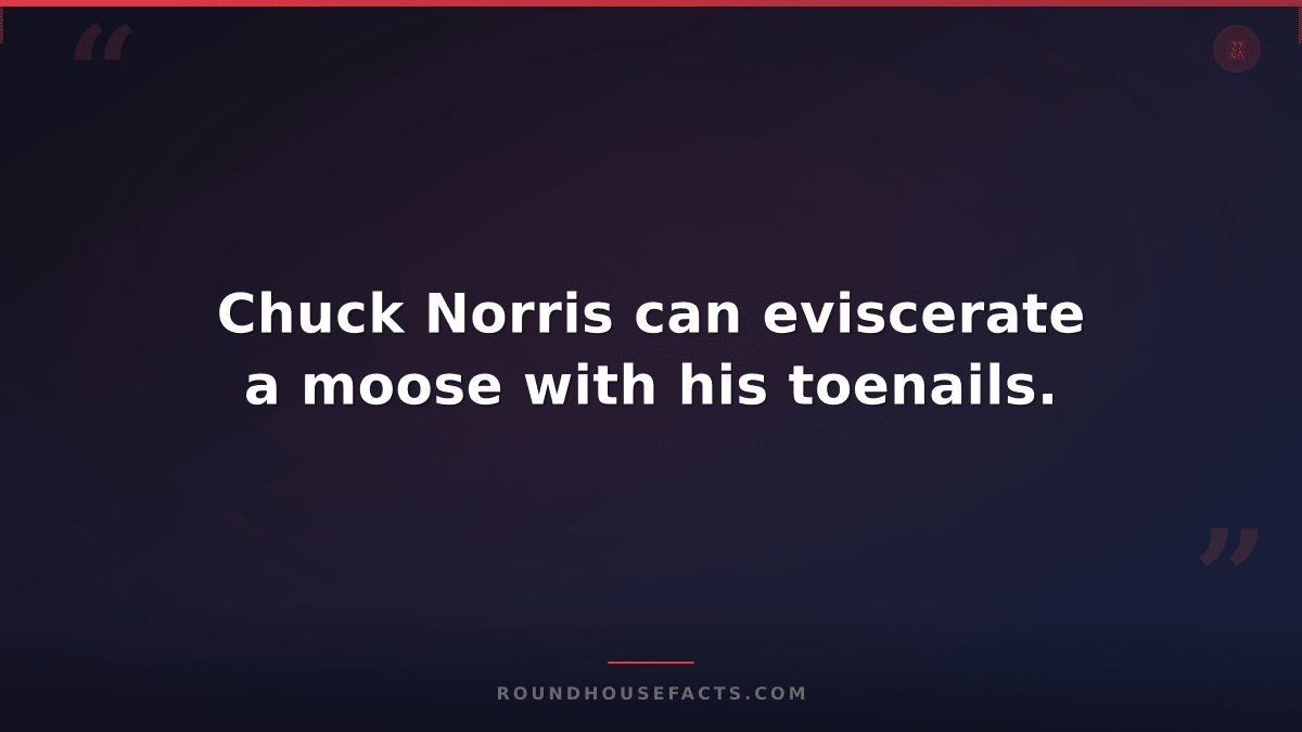 Chuck Norris Fact — Chuck Norris can eviscerate a moose with his toenails.
