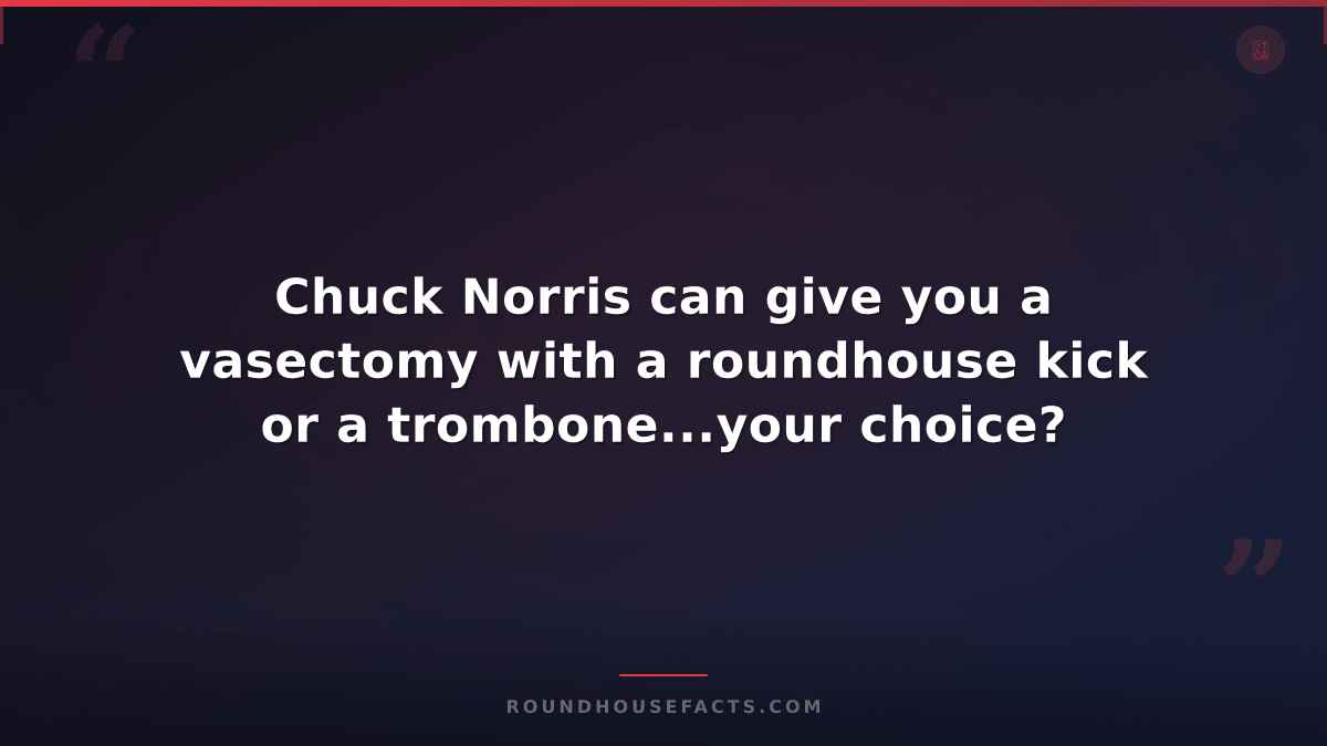 Chuck Norris Fact — Chuck Norris can give you a vasectomy with a roundhouse kick