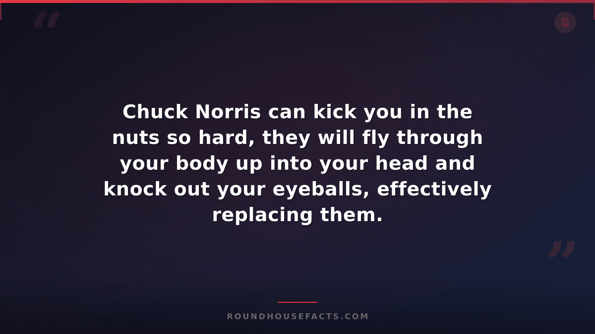 Chuck Norris Fact — Chuck Norris can kick you in the nuts so hard, they will fly