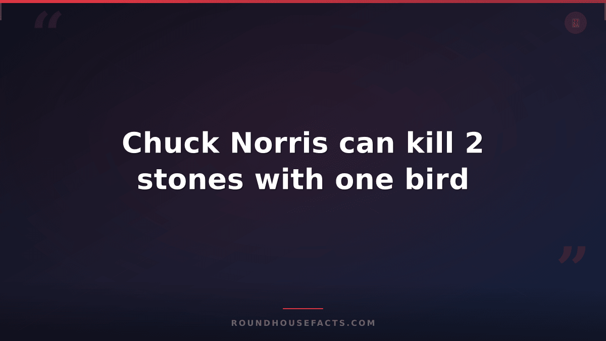 Chuck Norris Fact — Chuck Norris can kill 2 stones with one bird