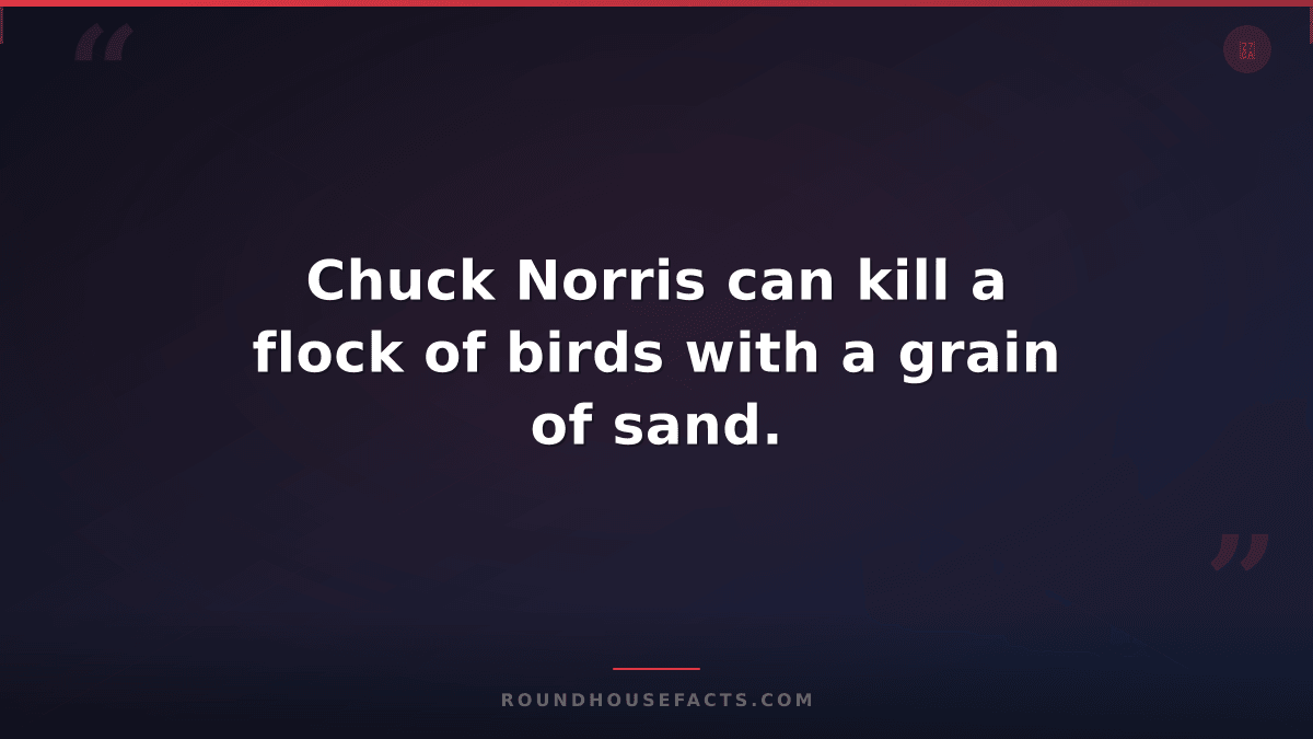 Chuck Norris Fact — Chuck Norris can kill a flock of birds with a grain of sand.