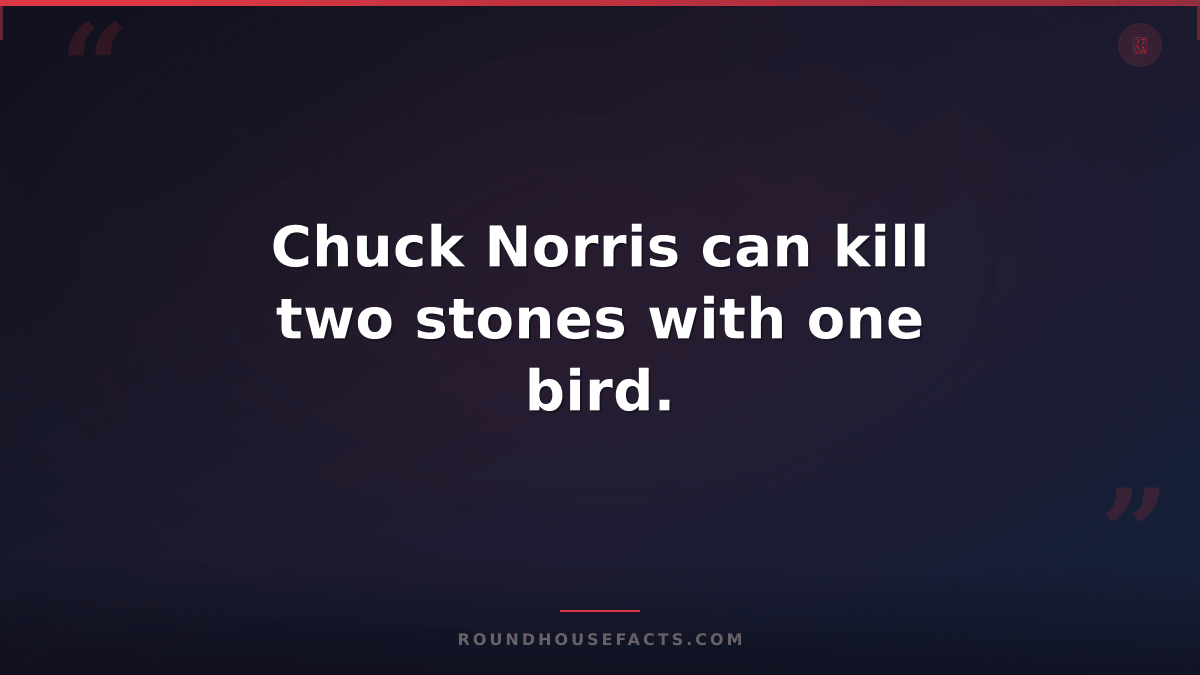 Chuck Norris Fact — Chuck Norris can kill two stones with one bird.