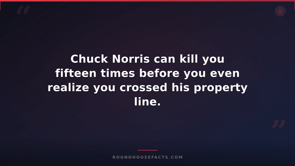 Chuck Norris Fact — Chuck Norris can kill you fifteen times before you even real