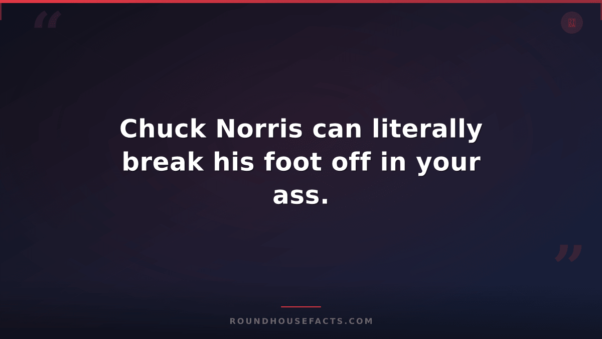 Chuck Norris Fact — Chuck Norris can literally break his foot off in your ass.