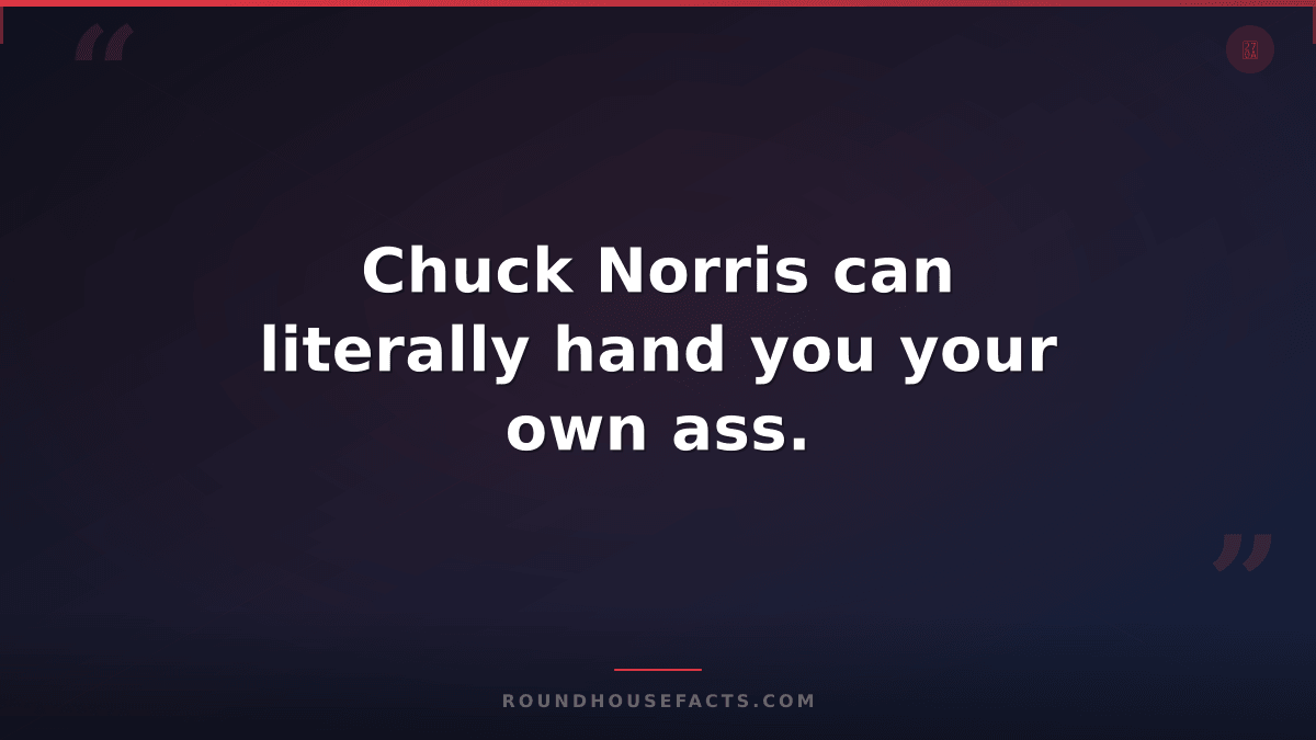 Chuck Norris Fact — Chuck Norris can literally hand you your own ass.