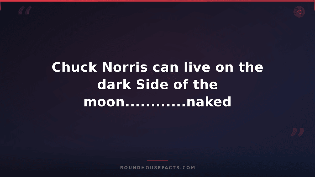 Chuck Norris Fact — Chuck Norris can live on the dark Side of the moon..........
