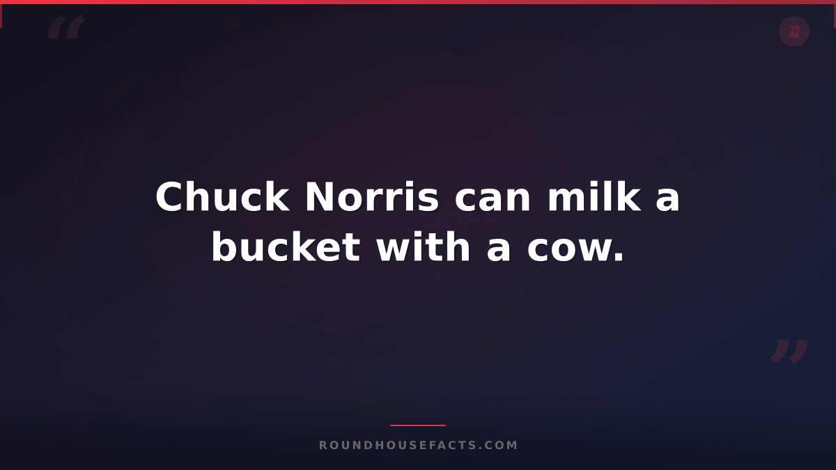 Chuck Norris Fact — Chuck Norris can milk a bucket with a cow.
