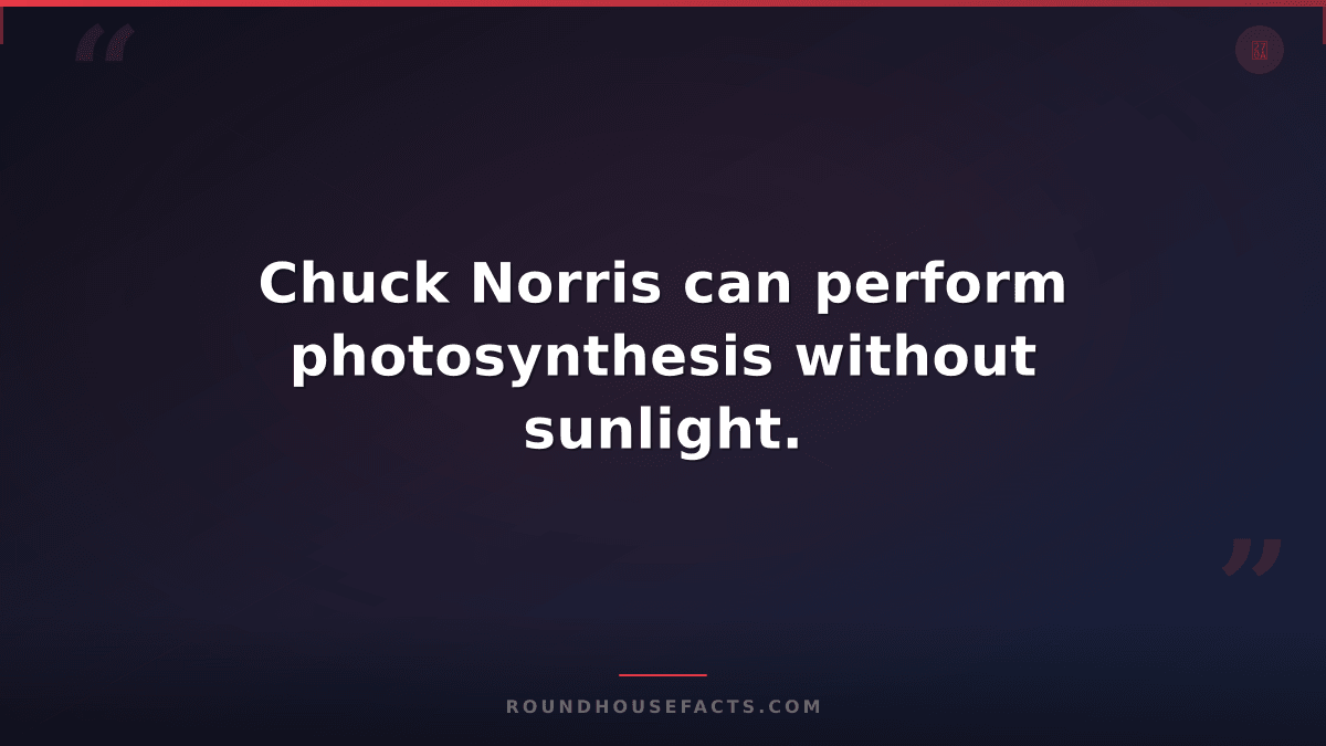 Chuck Norris Fact — Chuck Norris can perform photosynthesis without sunlight.