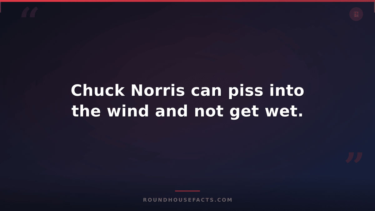 Chuck Norris Fact — Chuck Norris can piss into the wind and not get wet.