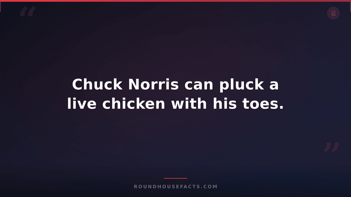 Chuck Norris Fact — Chuck Norris can pluck a live chicken with his toes.