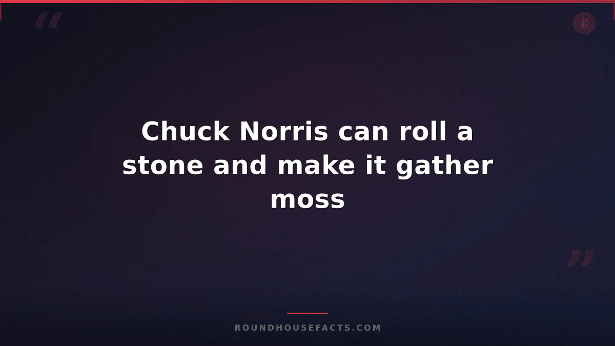 Chuck Norris Fact — Chuck Norris can roll a stone and make it gather moss
