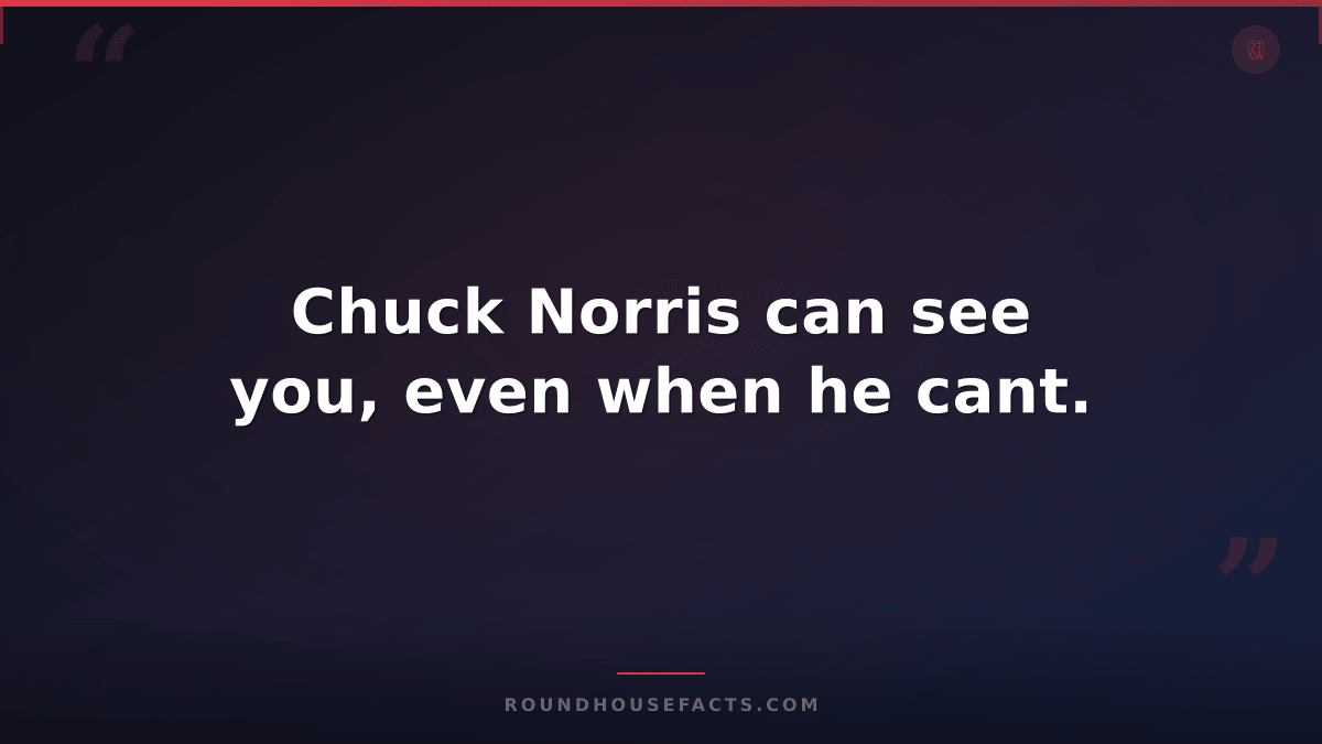 Chuck Norris Fact — Chuck Norris can see you, even when he cant.