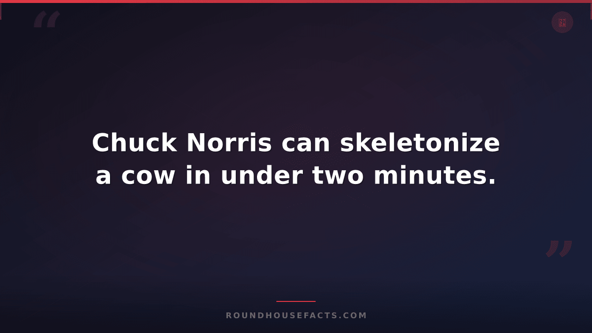 Chuck Norris Fact — Chuck Norris can skeletonize a cow in under two minutes.