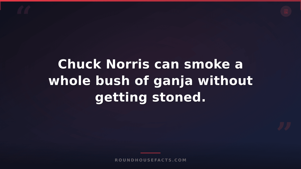 Chuck Norris Fact — Chuck Norris can smoke a whole bush of ganja without getting