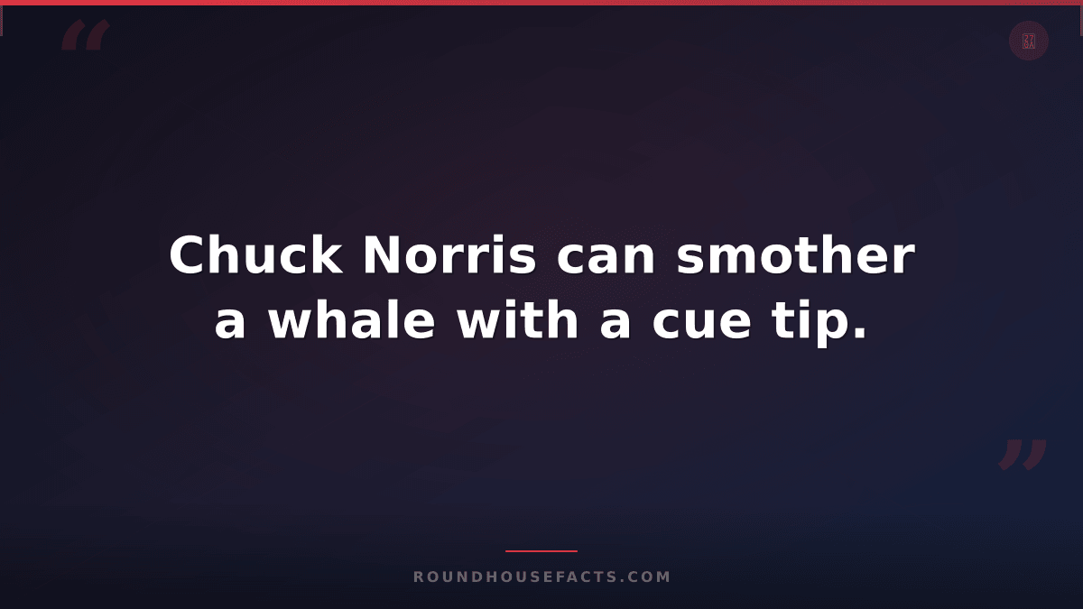 Chuck Norris Fact — Chuck Norris can smother a whale with a cue tip.