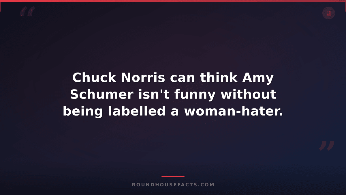 Chuck Norris Fact — Chuck Norris can think Amy Schumer isn't funny without being