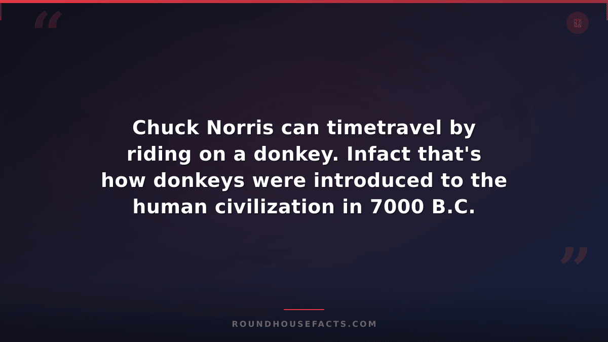 Chuck Norris Fact — Chuck Norris can timetravel by riding on a donkey. Infact th