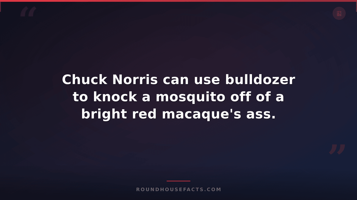 Chuck Norris Fact — Chuck Norris can use bulldozer to knock a mosquito off of a
