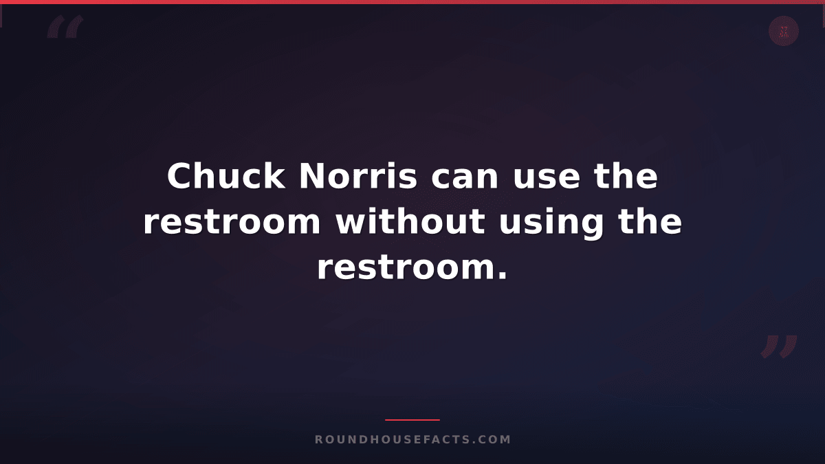 Chuck Norris Fact — Chuck Norris can use the restroom without using the restroom