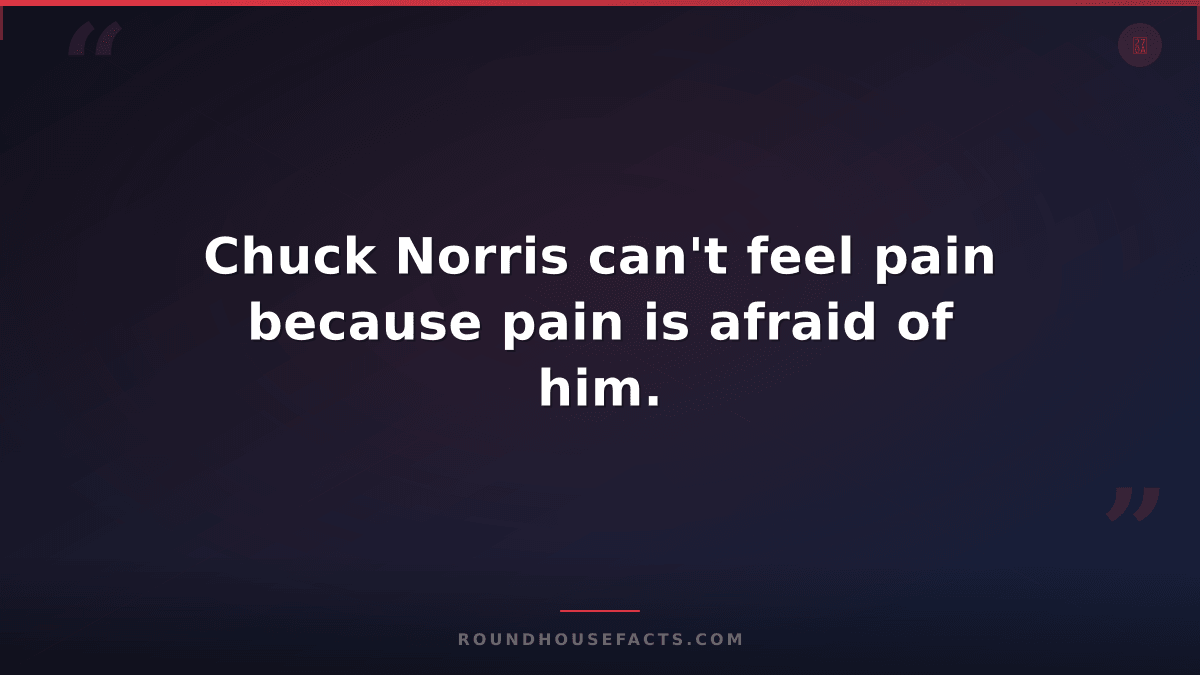 Chuck Norris Fact — Chuck Norris can't feel pain because pain is afraid of him.