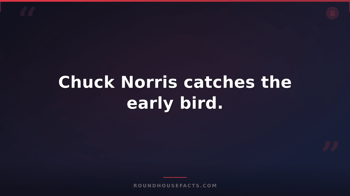 Chuck Norris Fact — Chuck Norris catches the early bird.