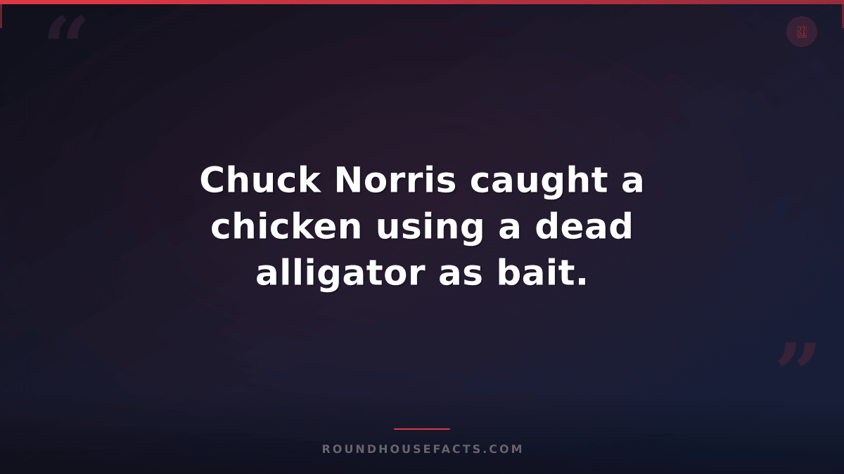 Chuck Norris Fact — Chuck Norris caught a chicken using a dead alligator as bait
