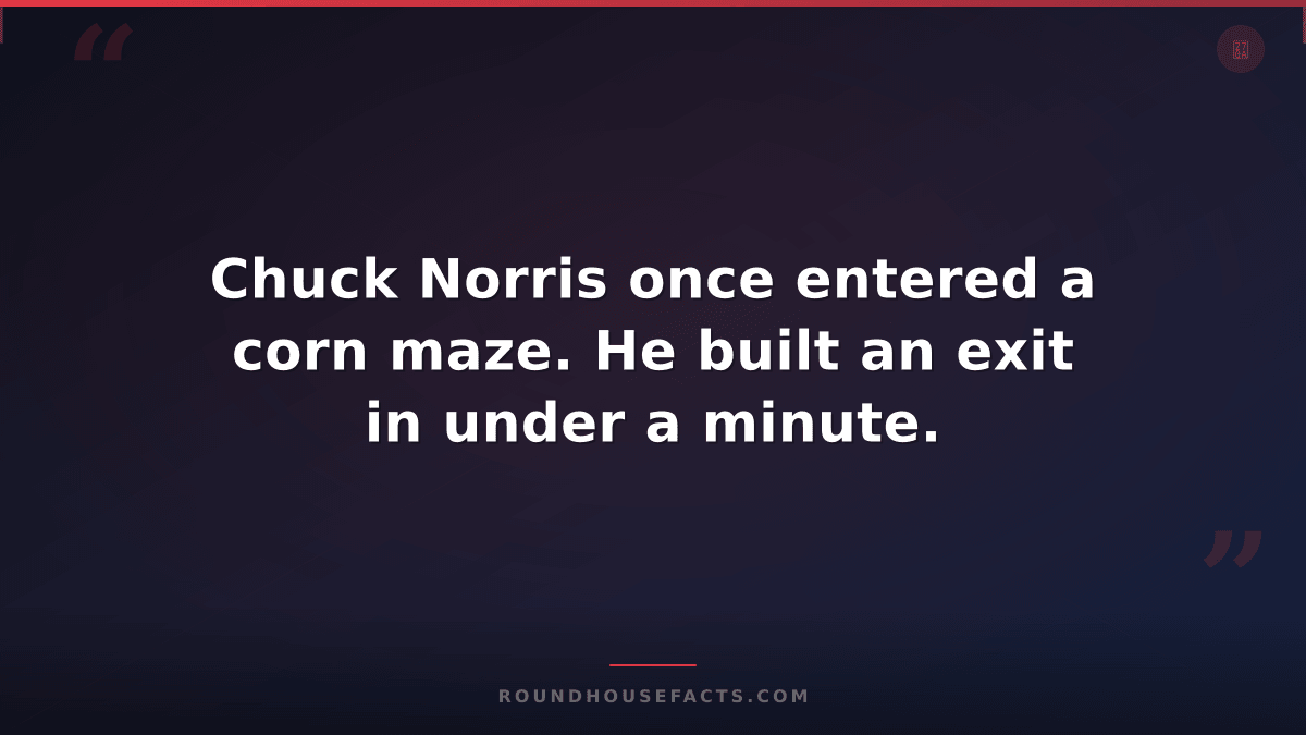 Chuck Norris Fact — Chuck Norris once entered a corn maze. He built an exit in u