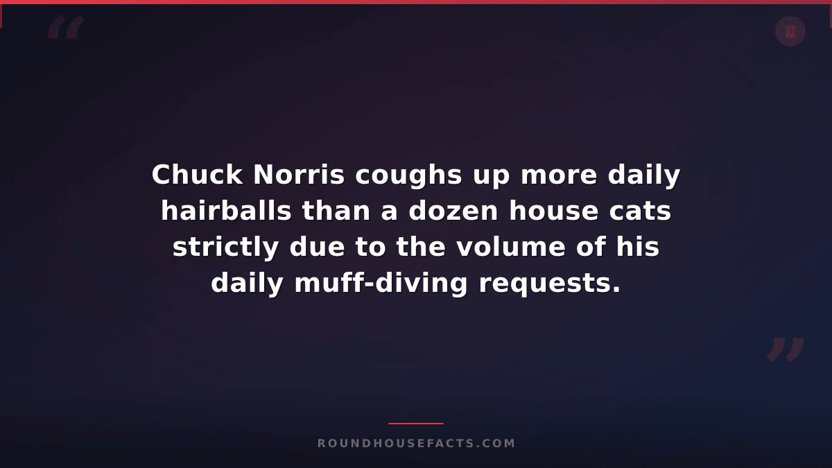Chuck Norris Fact — Chuck Norris coughs up more daily hairballs than a dozen hou