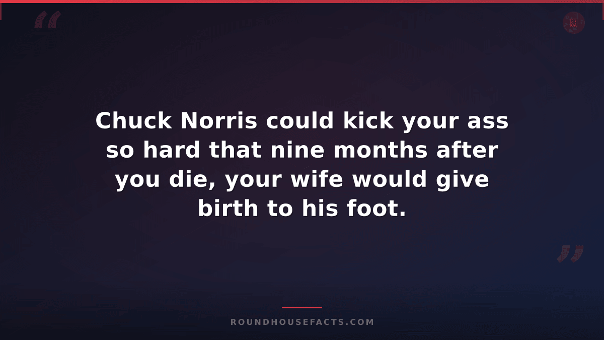 Chuck Norris Fact — Chuck Norris could kick your ass so hard that nine months af