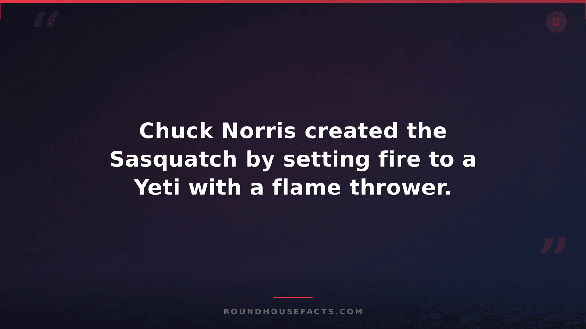 Chuck Norris Fact — Chuck Norris created the Sasquatch by setting fire to a Yeti