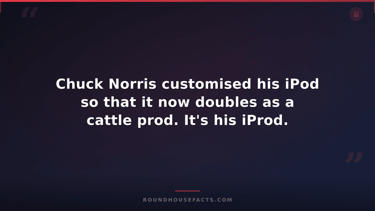 Chuck Norris Fact — Chuck Norris customised his iPod so that it now doubles as a