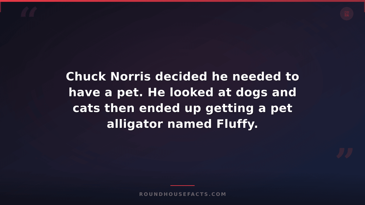 Chuck Norris Fact — Chuck Norris decided he needed to have a pet. He looked at d