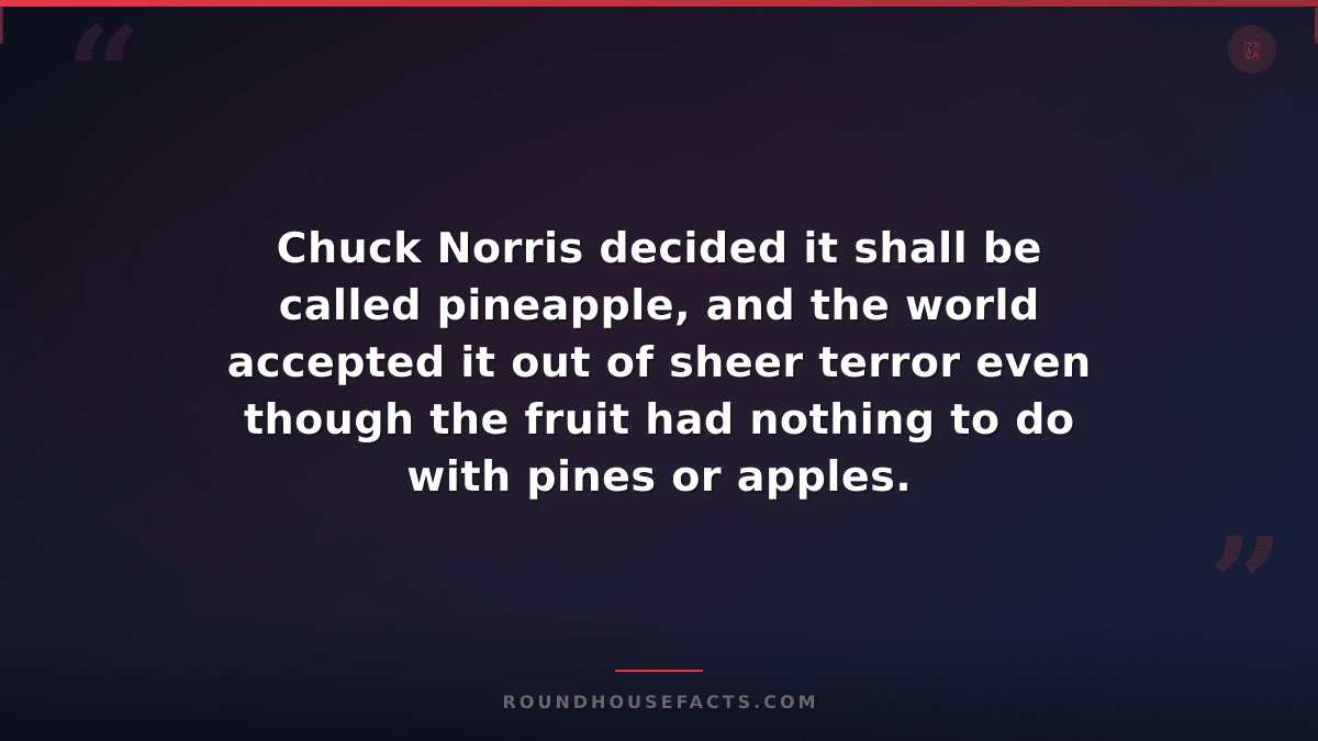 Chuck Norris Fact — Chuck Norris decided it shall be called pineapple, and the w