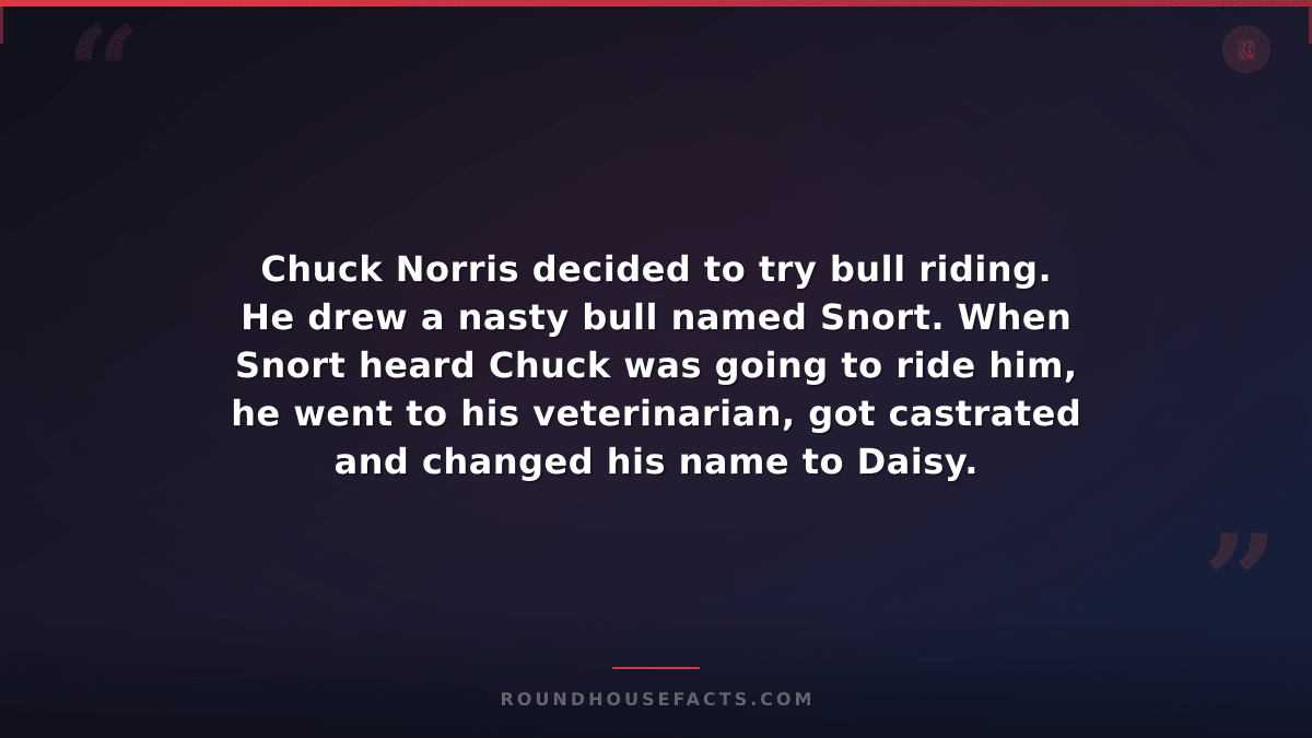 Chuck Norris Fact — Chuck Norris decided to try bull riding. He drew a nasty bul