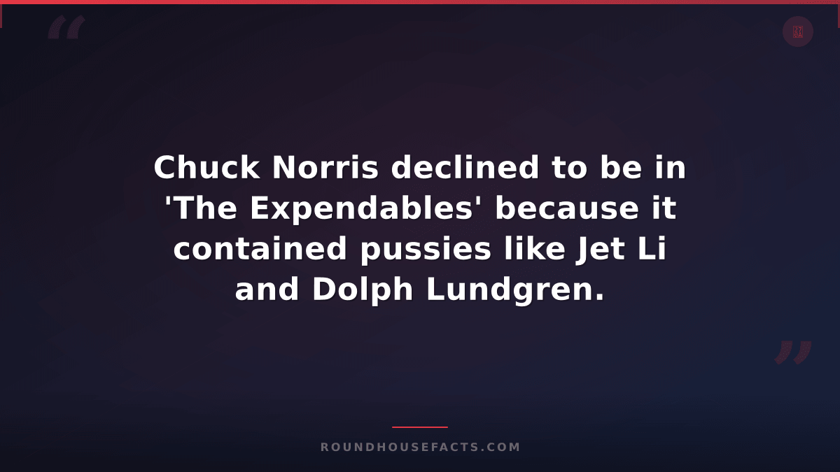 Chuck Norris Fact — Chuck Norris declined to be in 'The Expendables' because it