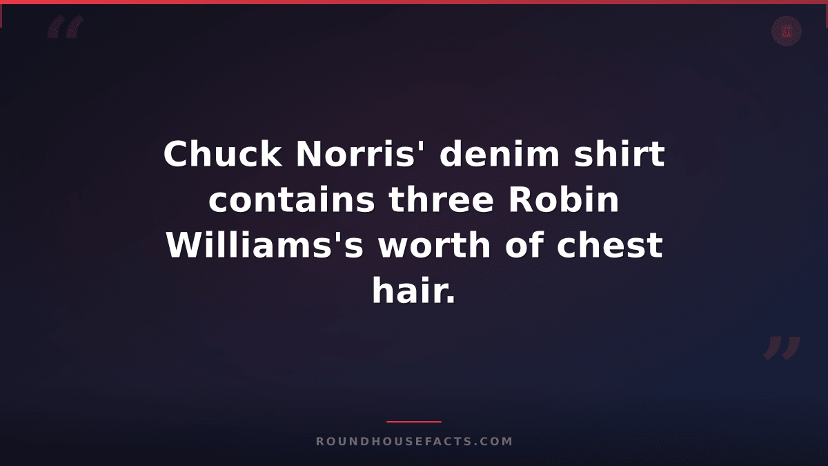 Chuck Norris Fact — Chuck Norris' denim shirt contains three Robin Williams's wo