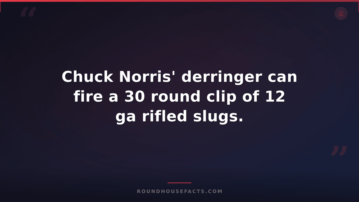 Chuck Norris Fact — Chuck Norris' derringer can fire a 30 round clip of 12 ga ri