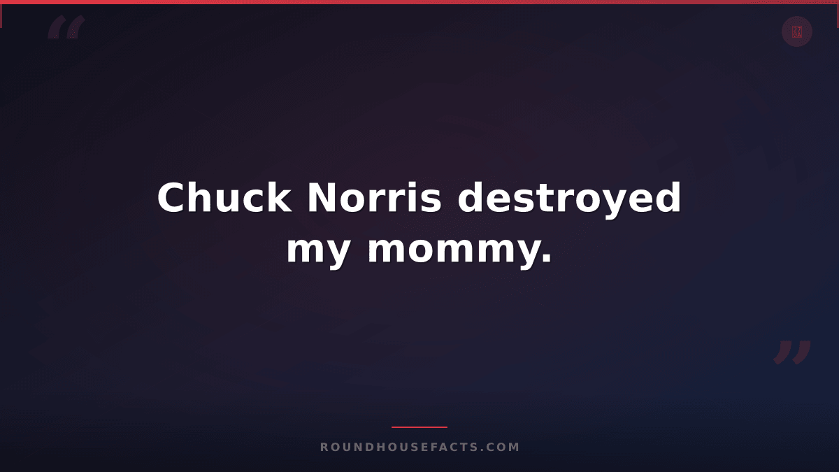 Chuck Norris Fact — Chuck Norris destroyed my mommy.