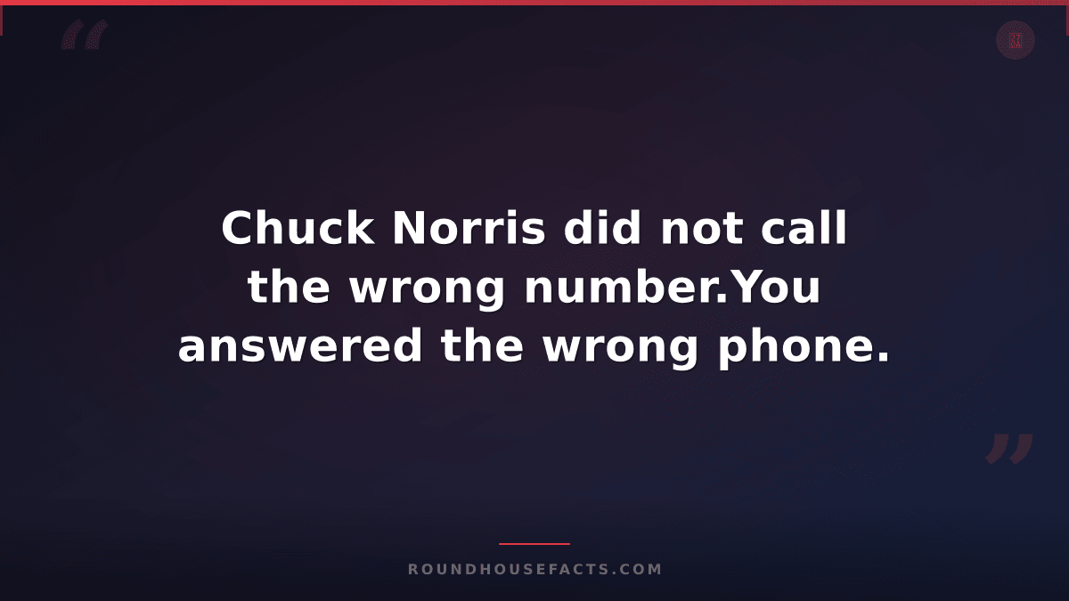 Chuck Norris Fact — Chuck Norris did not call the wrong number.You answered the