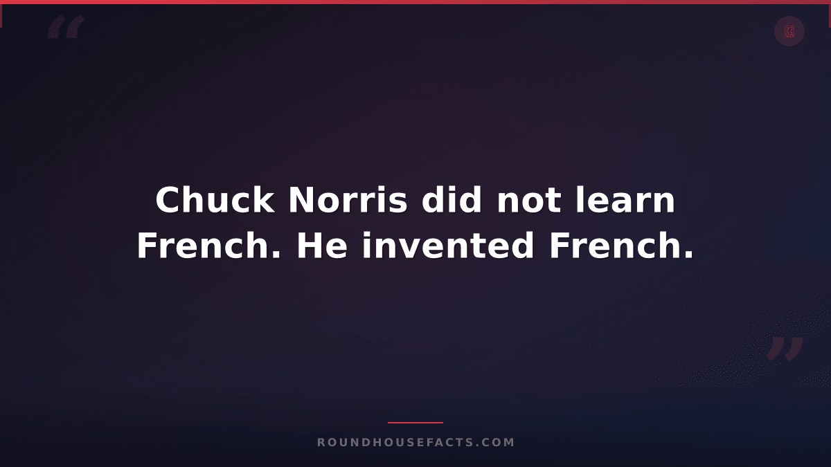 Chuck Norris Fact — Chuck Norris did not learn French. He invented French.