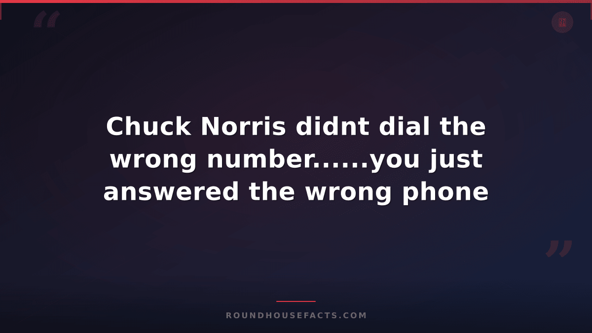 Chuck Norris Fact — Chuck Norris didnt dial the wrong number......you just answe