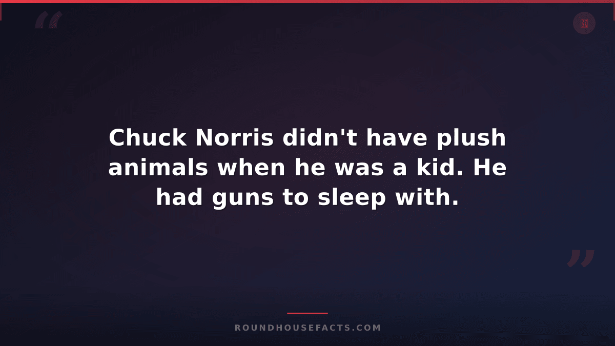 Chuck Norris Fact — Chuck Norris didn't have plush animals when he was a kid. He