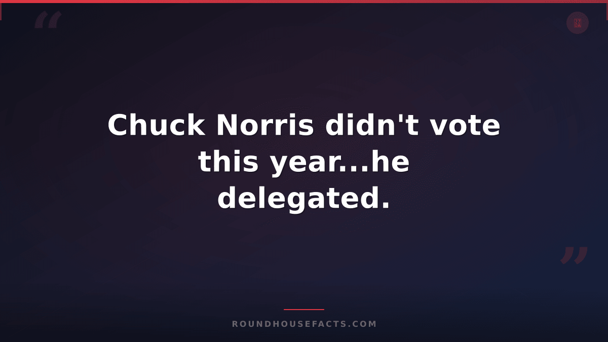 Chuck Norris Fact — Chuck Norris didn't vote this year...he delegated.