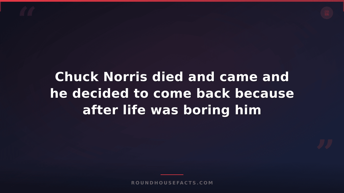 Chuck Norris Fact — Chuck Norris died and came and he decided to come back becau