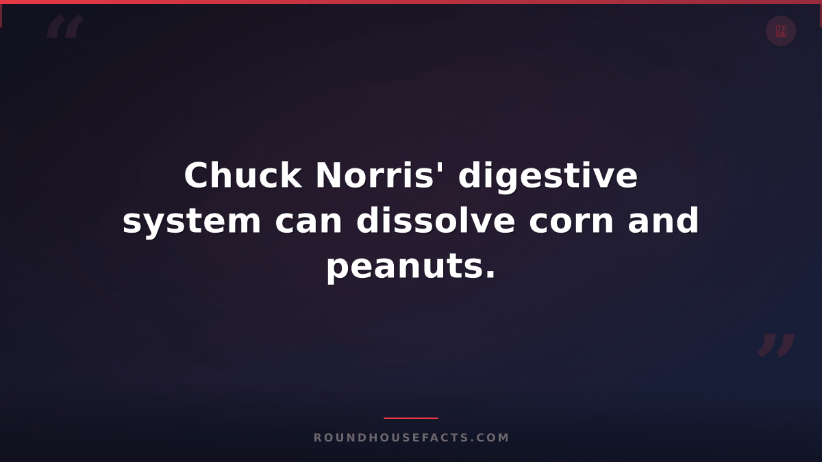 Chuck Norris Fact — Chuck Norris' digestive system can dissolve corn and peanuts